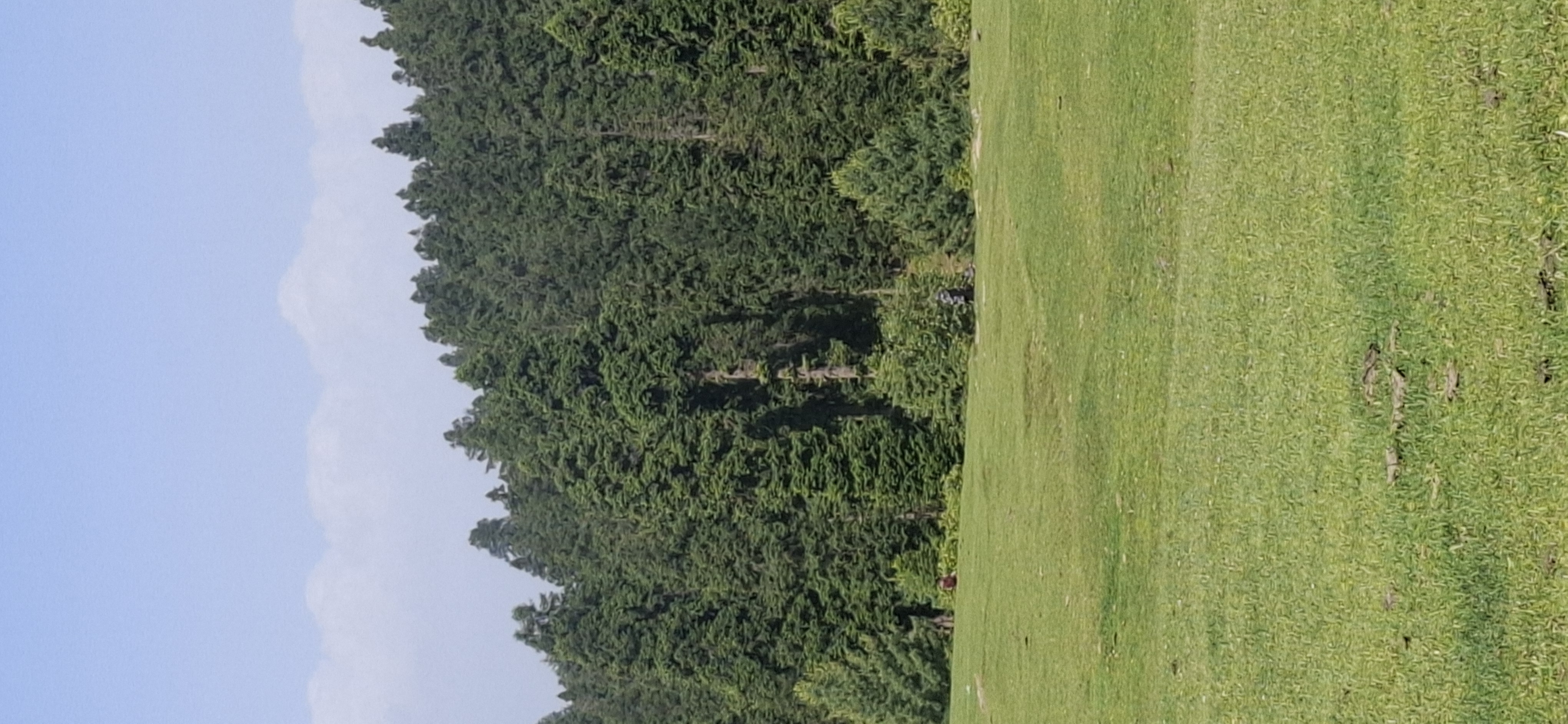 Gallery Image 48